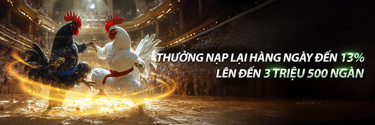 Sân vận động với ánh đèn rực rỡ và biểu tượng 6hm88, thể hiện sự sôi động của cá cược thể thao